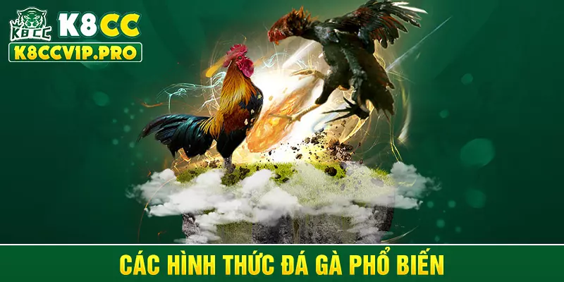 Các hình thức đá gà phổ biến