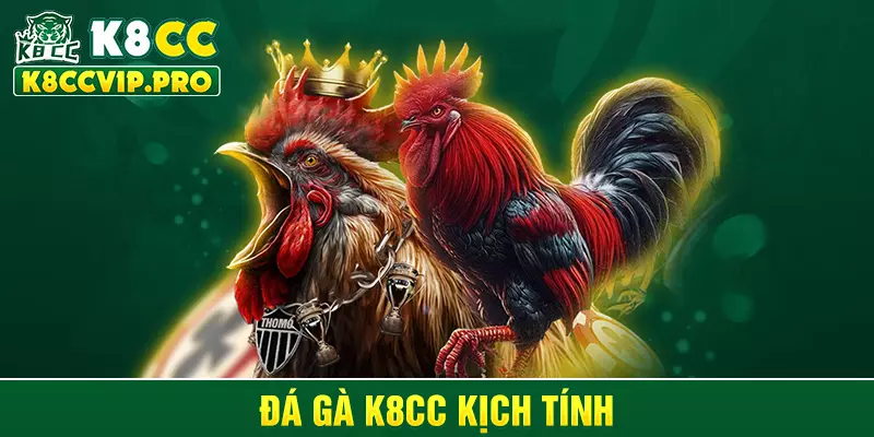 Đá gà K8CC kịch tính