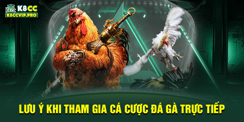 Lưu ý khi tham gia cá cược đá gà trực tiếp